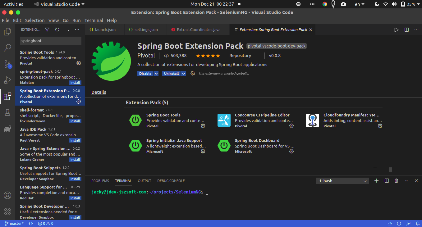 spring boot extension